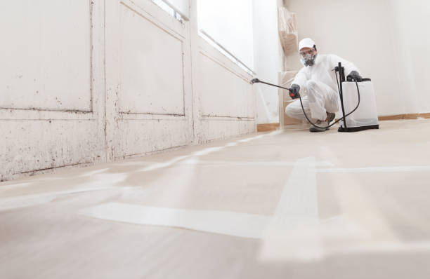 Black mold remediation team in Ephrata